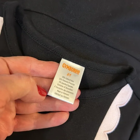 Gymboree Black and Pink Kids Dress Size 2T - Picture 3 of 6